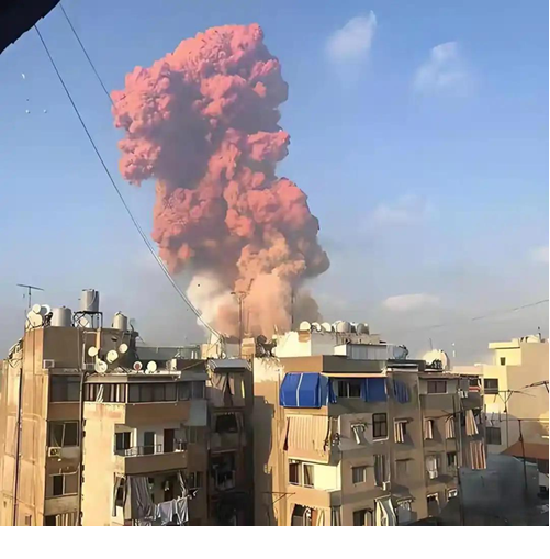 화면 캡처 2026-01-31 225020.png