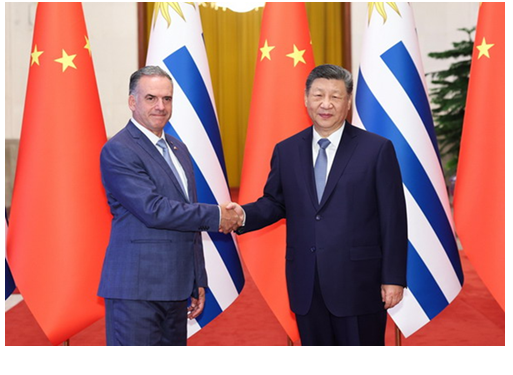 화면 캡처 2026-02-03 213246.png