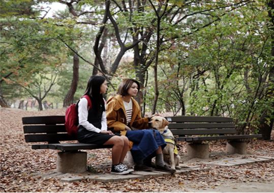 소녀시대 수영, KBS 장애인의 날 특집극 ‘퍼펙트 센스’에 출연