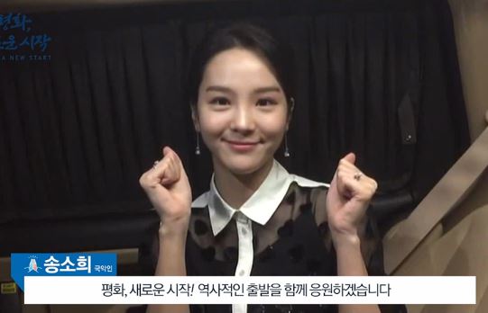 [2018 남북정상회담] 하석진·모모랜드·솔비·송소희 평화 기원 영상 메시지 동참