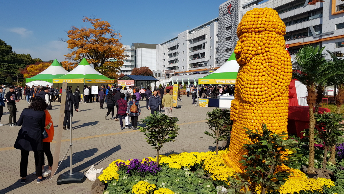 렛츠런파크 서울서 제주감성 물씬 '제주 오감축제' 성료... 이틀간 7만여명 참가