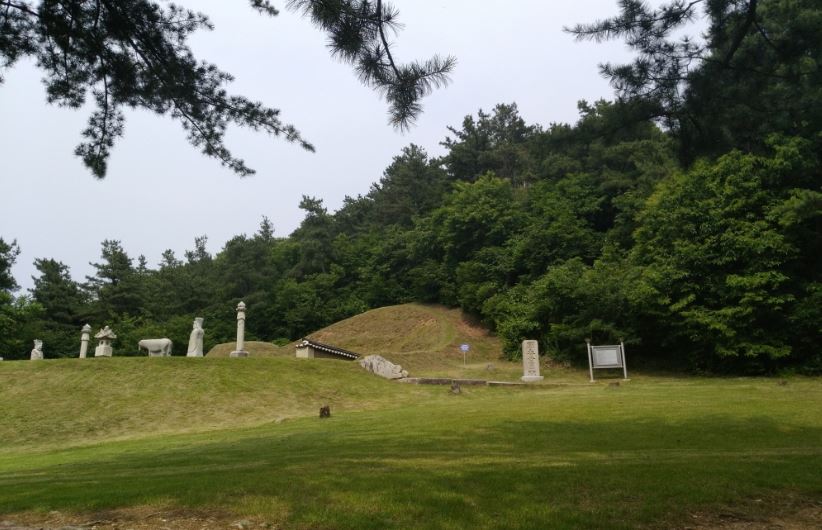 흥선대원군 5대손, 대원군묘역 및 주변토지 12만9,935㎡ 기부