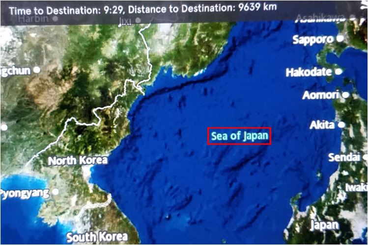 "전 세계 항공기 동해로 바꾸자"..서경덕, 네티즌과 캠페인
