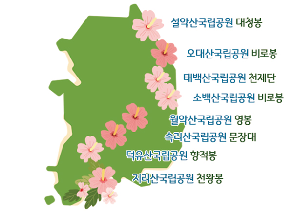3·1절 100주년, 국립공원 정상서도 만세 삼창 울려퍼진다