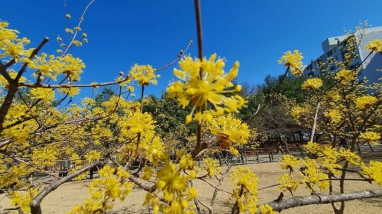 이것 또한 지나가리라