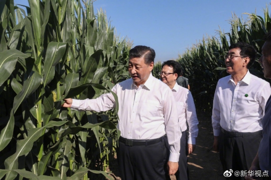 시진핑 中 국가주석 지린서 고찰 조사연구 진행