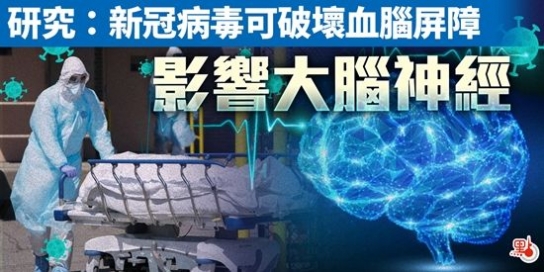 최신연구, 코로나 19 바이러스 혈액 뇌 장벽 파괴