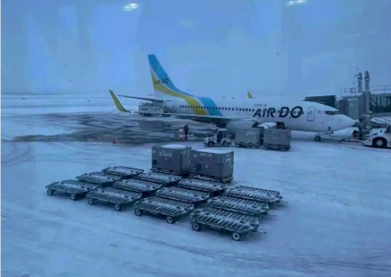 신치토세공항 하루 56편 결항… 일본 폭설로 수천 명 공항 노숙