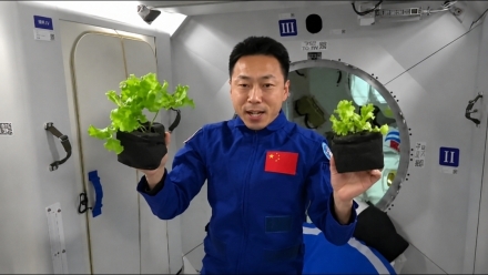 '우주 벼농사'에 담긴 중국의 큰 그림…식량안보 넘어 달·화성까지