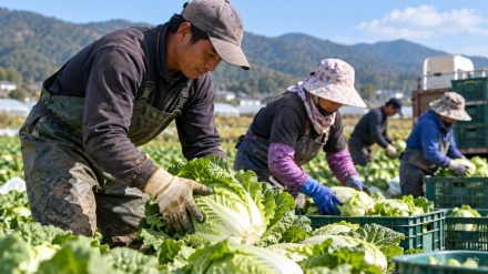 이재명 “외국인 노동자, 경제에 크게 도움 안 돼”…이주노동계 반발