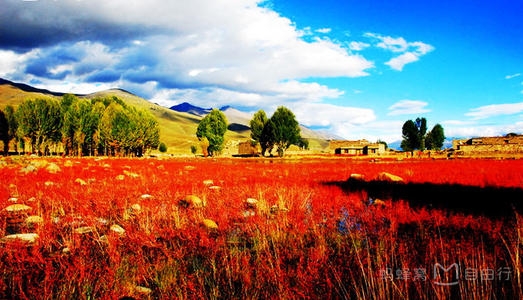 中 쓰촨 깐즈주 5개 관광 풍경구 4A급으로 승격