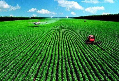 中, 농산물 품질 합격률 6년 연속 97% 이상