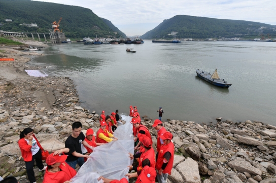 中, 10만 마리의 치어 장강 유역에 정착