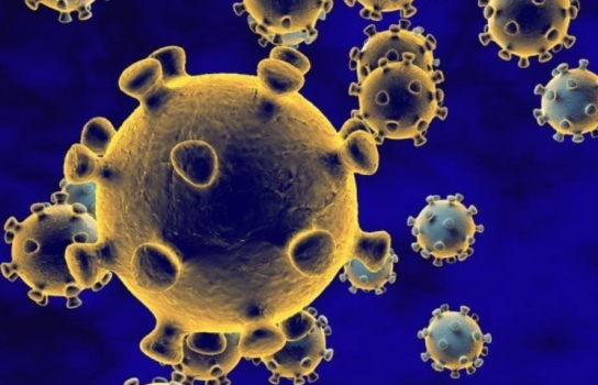 쿠바, 자체 개발 첫 코로나19 백신 긴급사용 승인