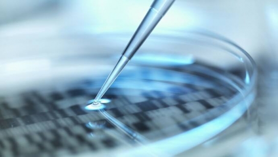 中, DNA 저장 분야서 새로운 발전 이룩