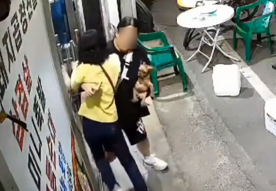 쿠팡 택배기사의 음주폭행 및 도주 사건, 쿠팡 책임 회피 논란