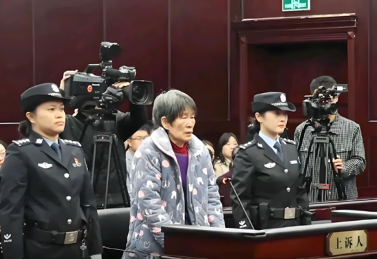 친아들 등 17명 아동 인신매매한 中 여성 사형 집행